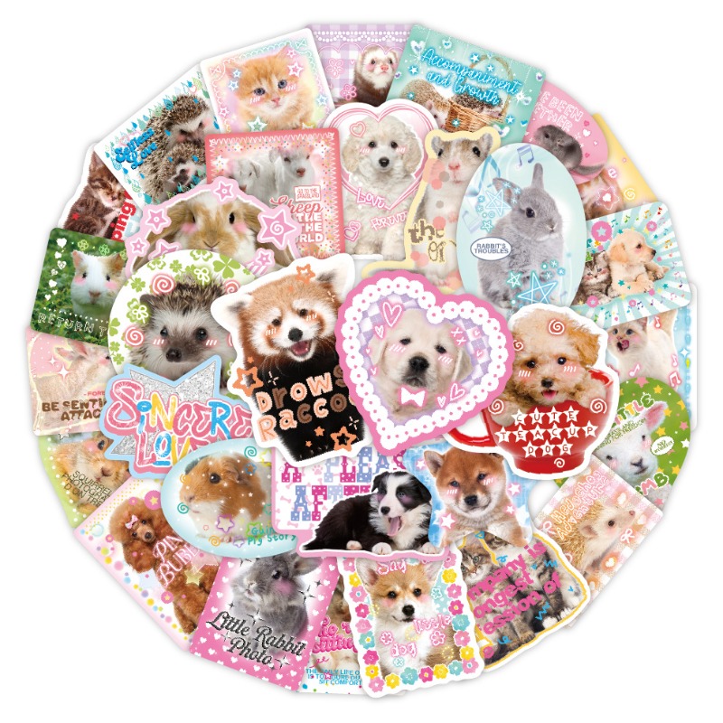 Phone Cases Kids - 50 teile/satz Kawaii Mode Sammelalbum Journal