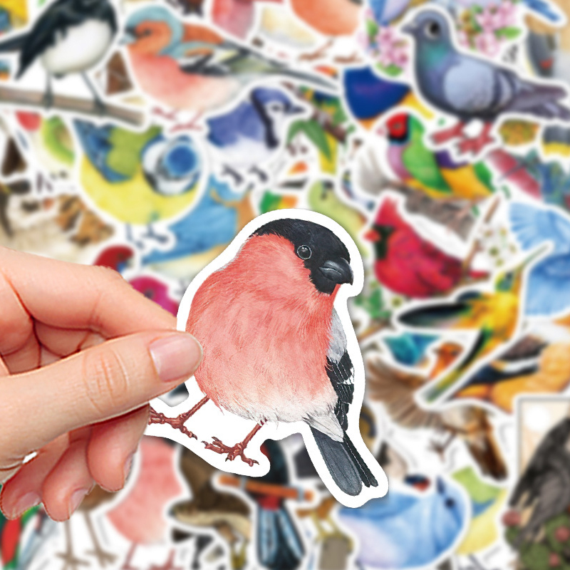 50 Stück Aquarell-Vogel-Graffi – Phone Cases Kids Bewertung und Preis